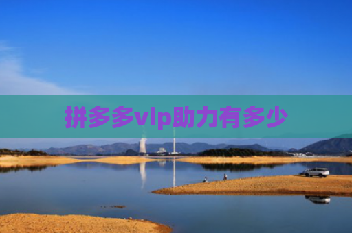 拼多多vip助力有多少