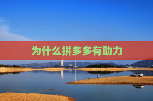 为什么拼多多有助力