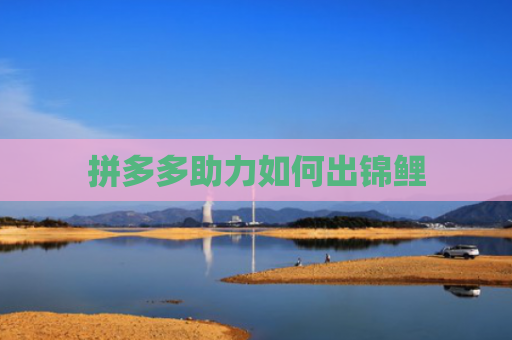 拼多多助力如何出锦鲤-第1张图片-拼多多助力网站-pdd新人免费助力网站，拼多多极速助力网站
