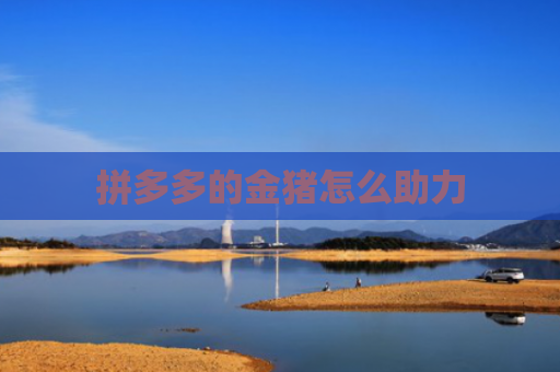 拼多多的金猪怎么助力