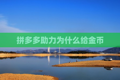 拼多多助力为什么给金币
