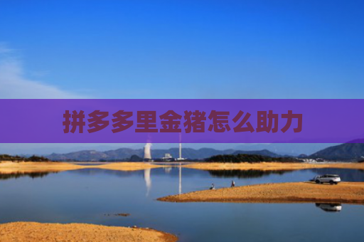 拼多多里金猪怎么助力