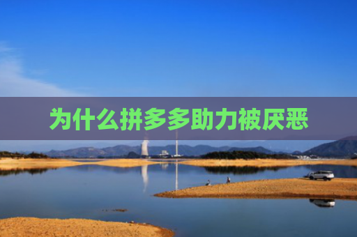 为什么拼多多助力被厌恶-第1张图片-拼多多助力网站-pdd新人免费助力网站，拼多多极速助力网站