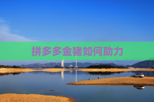 拼多多金猪如何助力