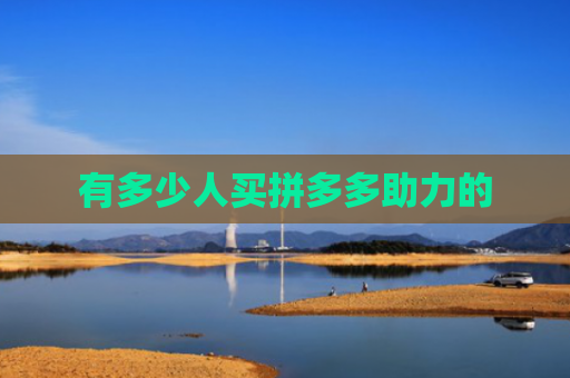 有多少人买拼多多助力的