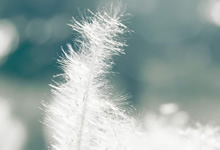 欢迎在宝塔面板安装Z-BlogPHP！