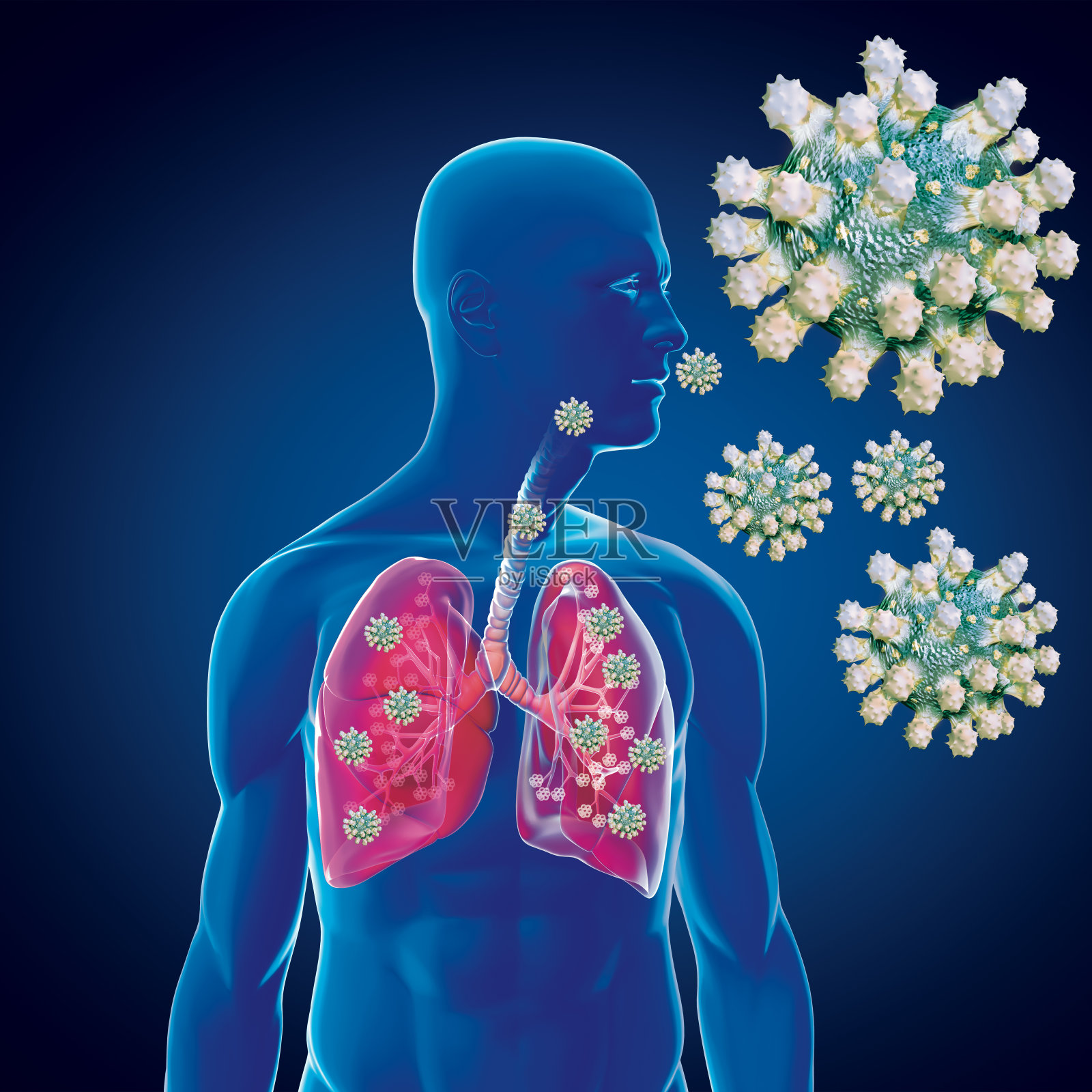 【2019-ncov病毒疫情/2019ncov新型冠状病毒】