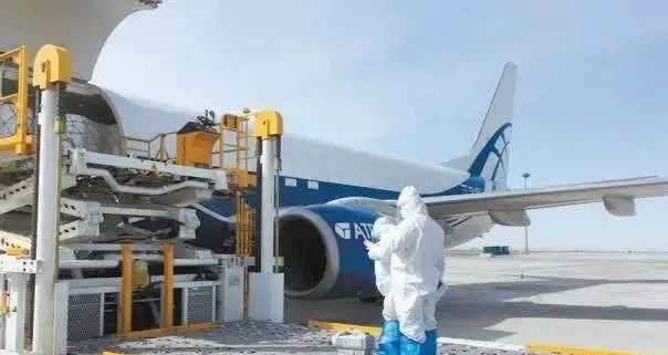 【运输航空公司疫情防控