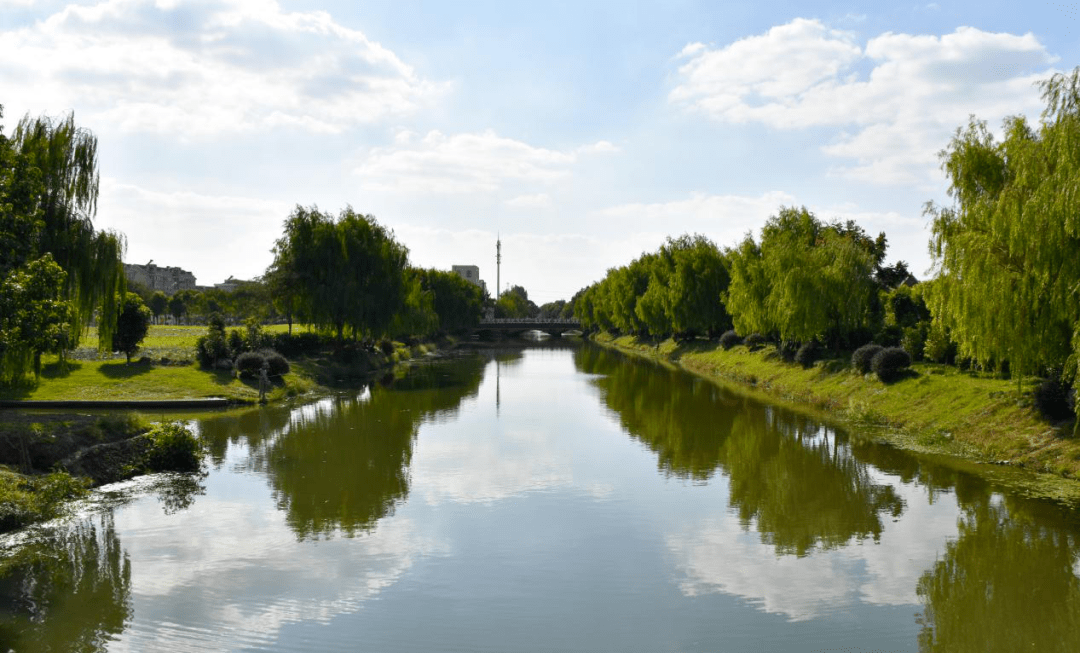 【绿色青浦疫情最新分布，为什么绿色青浦app下载后打不开】