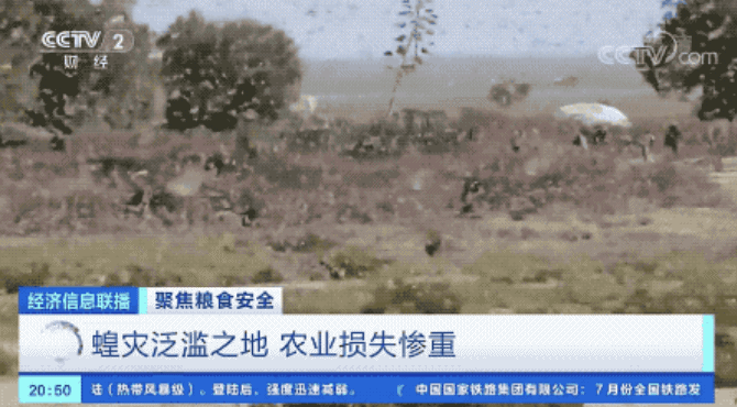 【全球疫情实时动态新闻