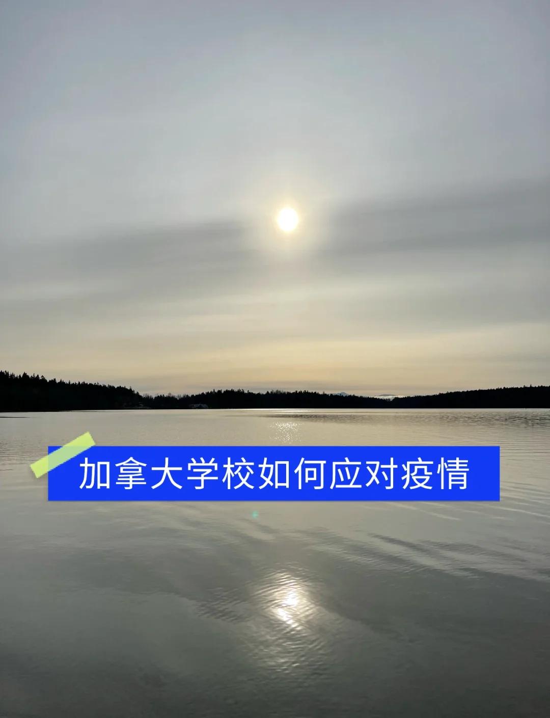 国内多所学校出现疫情】 国内多所学校出现疫情】