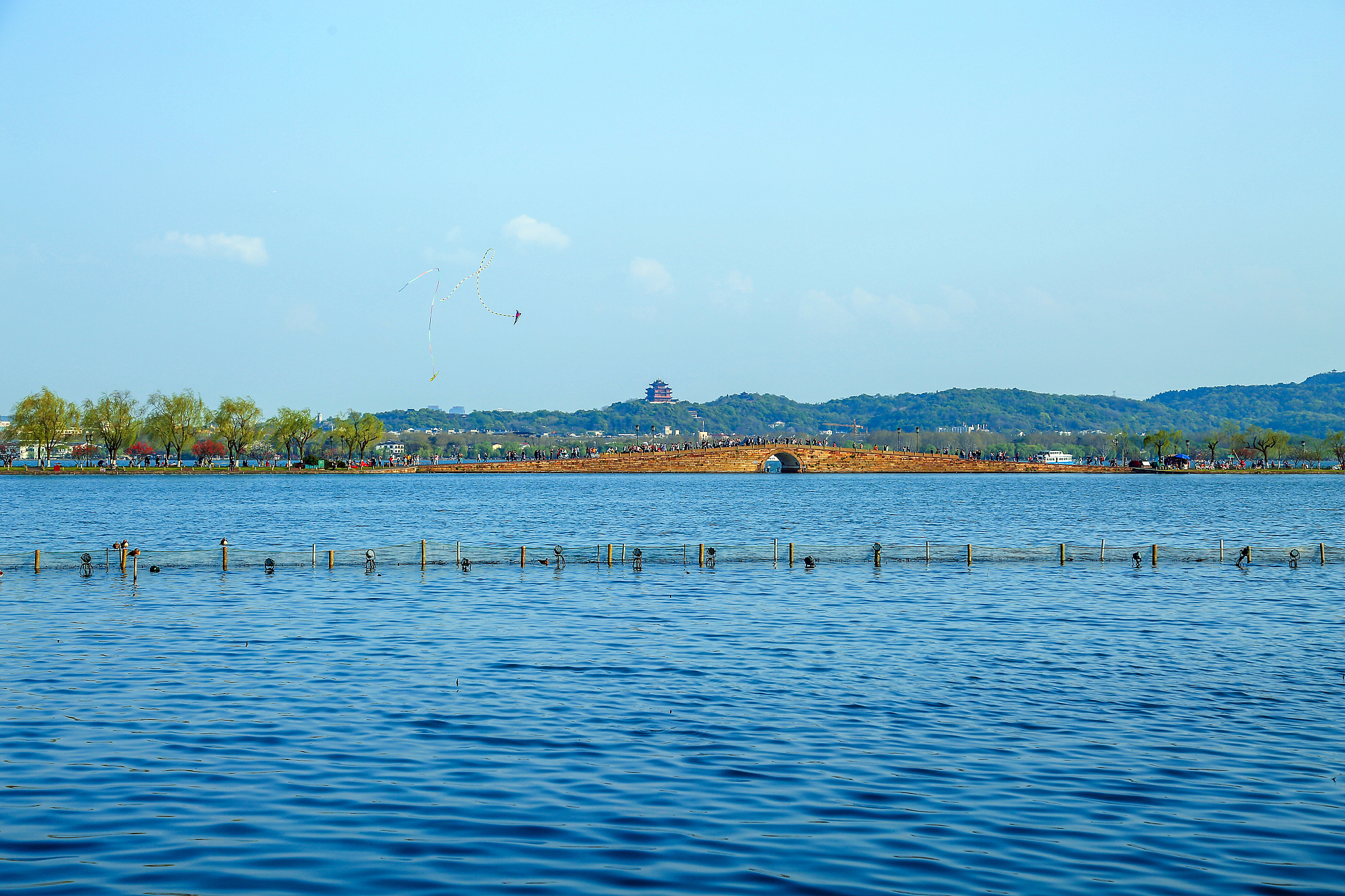 秦皇岛碧螺塔公园疫情封闭】 秦皇岛碧螺塔公园疫情封闭】