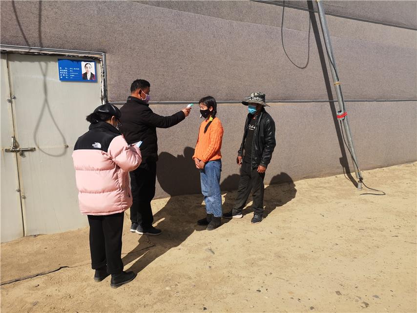 【西藏灵芝疫情，西藏灵芝功效作用】