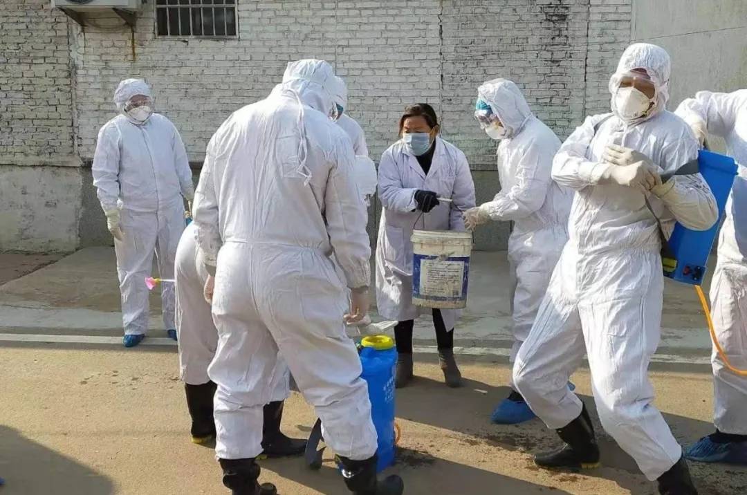 【山东泰安最新疫情/山东泰安最新疫情防控政策】