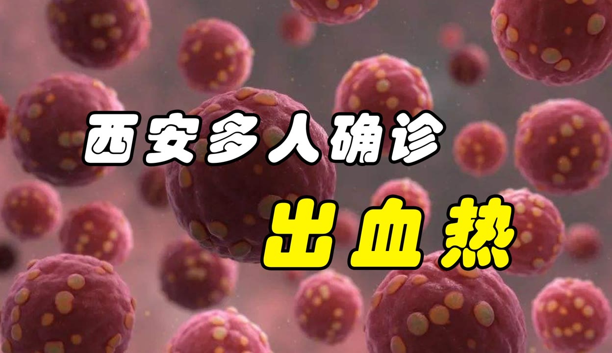 【西安疫情奇闻轶事，西安疫情奇闻轶事最新】