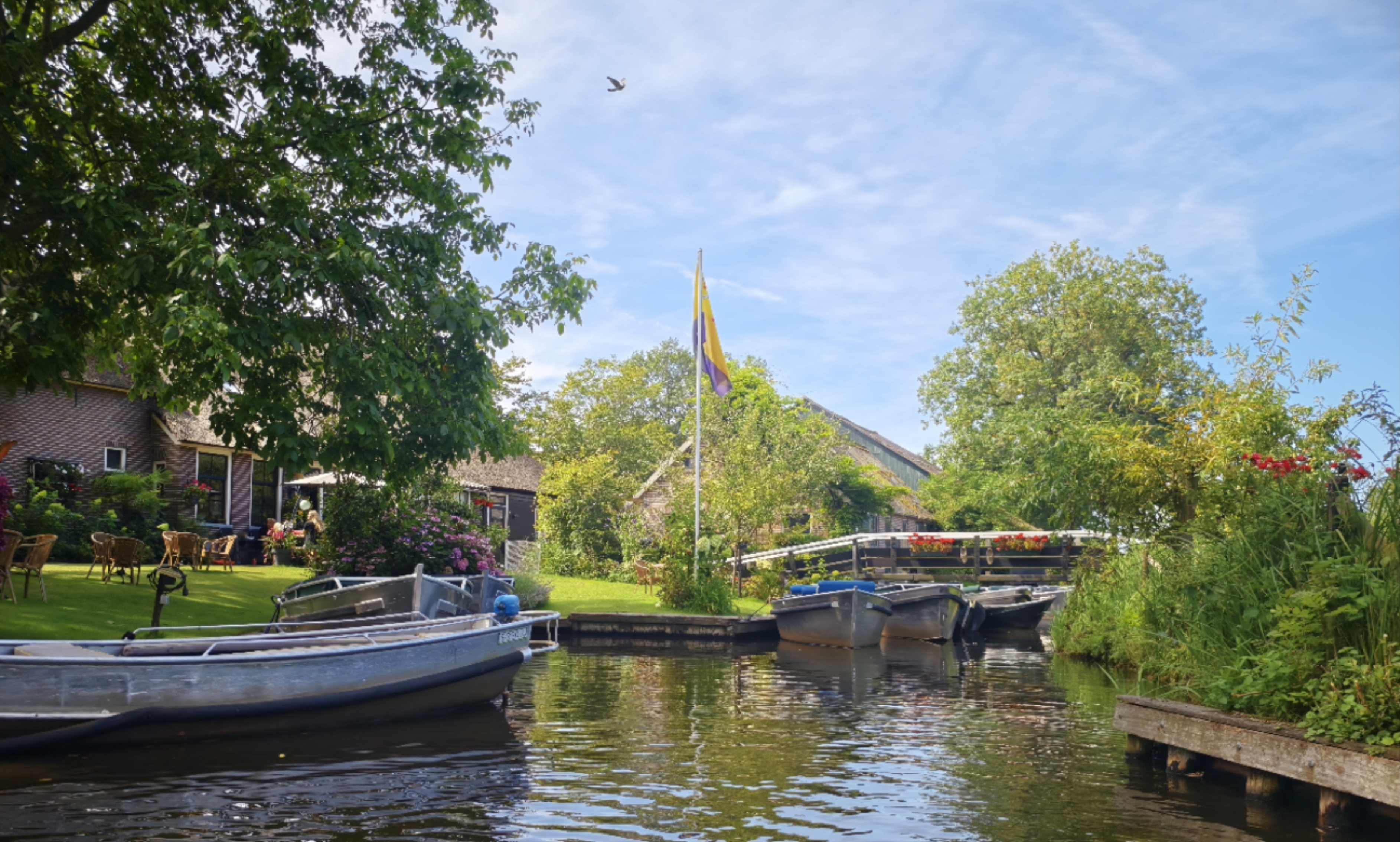 【瓦赫宁根疫情