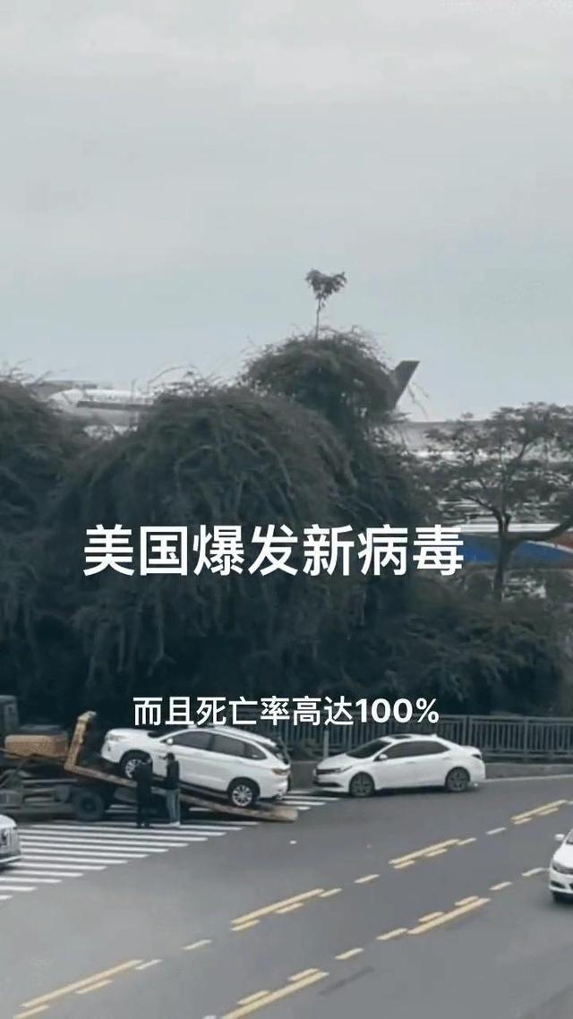 国外疫情数据图】 国外疫情数据图】